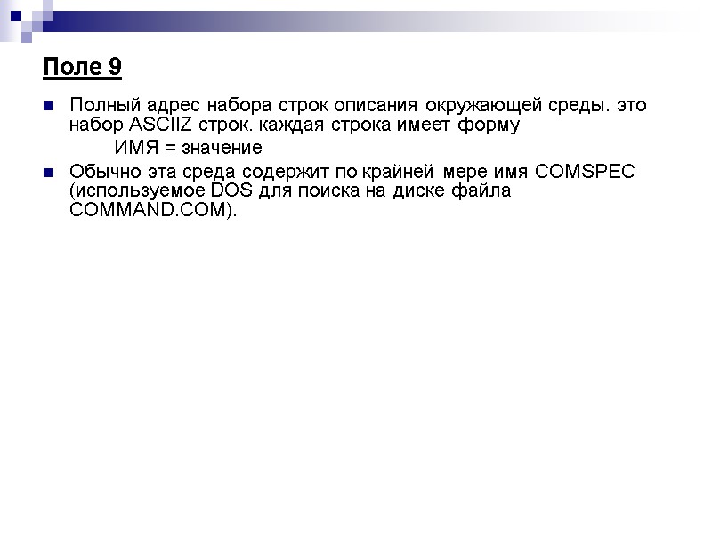 Поле 9  Полный адрес набора строк описания окружающей среды. это набор ASCIIZ строк.